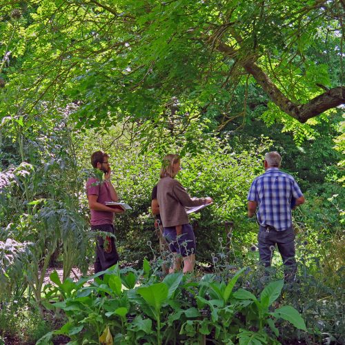 About the Garden