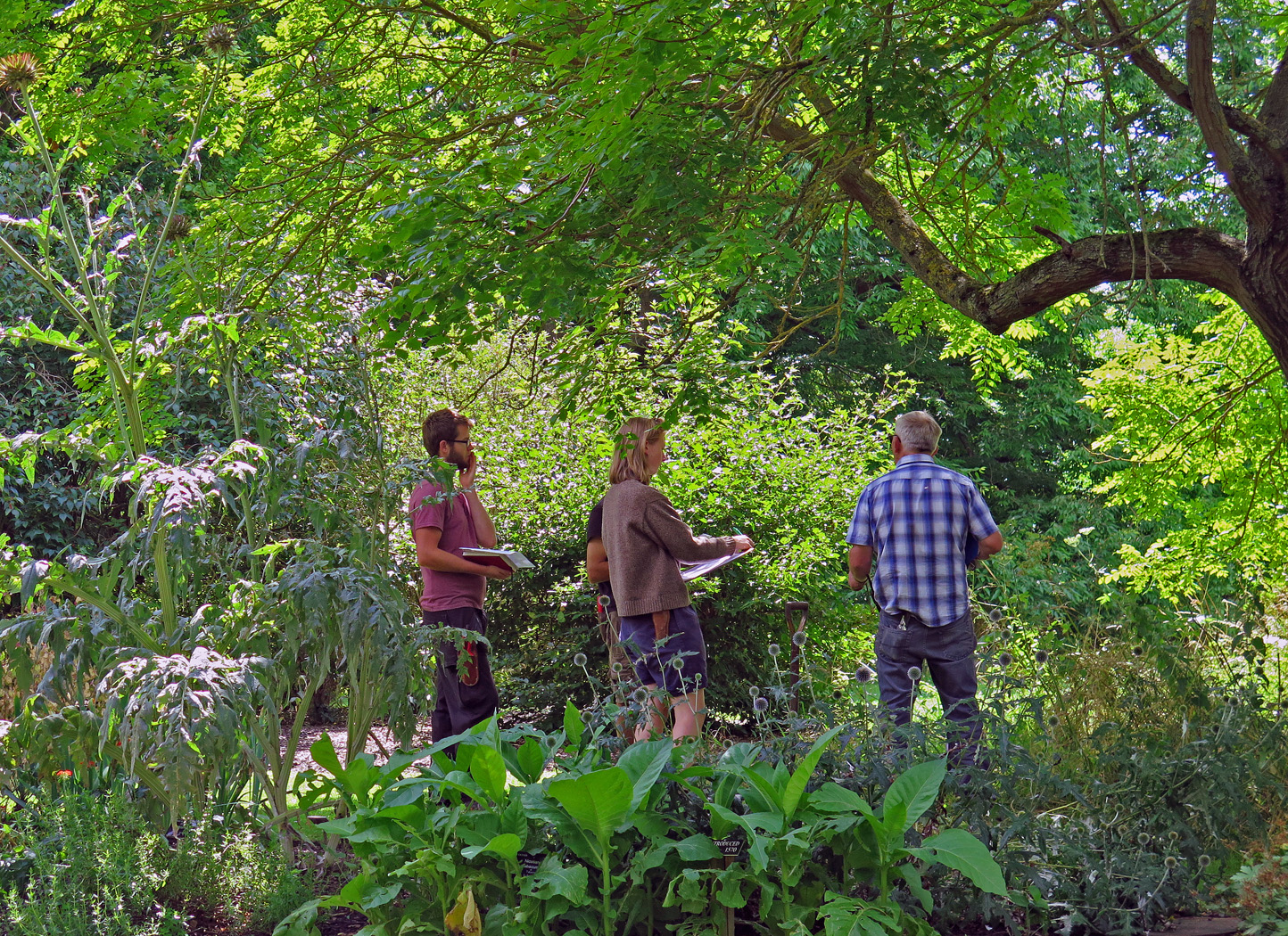 Group of Botanic Garden trainees and supervisor looking at trees.