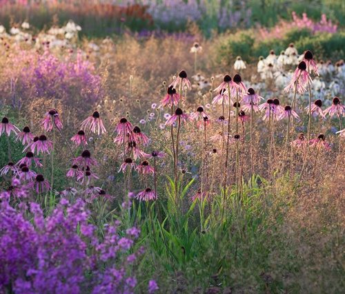 International Garden Photographer of the Year at the Garden