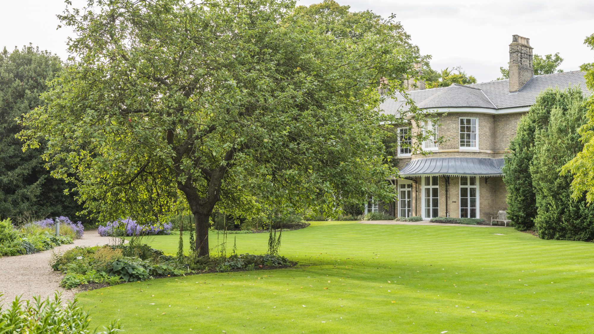 Isaac Newton’s Apple Tree on Brookside lawn.