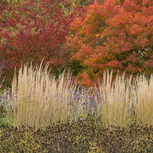 Wellness Wander Archive: September 2020