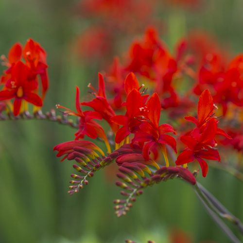 Wellness Wanders Archive: July 2020