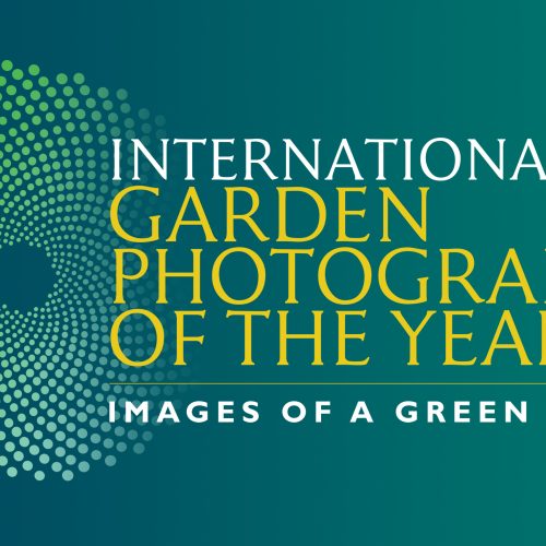 IGPOTY