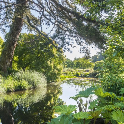 Wellness Wanders Archive: April 2020