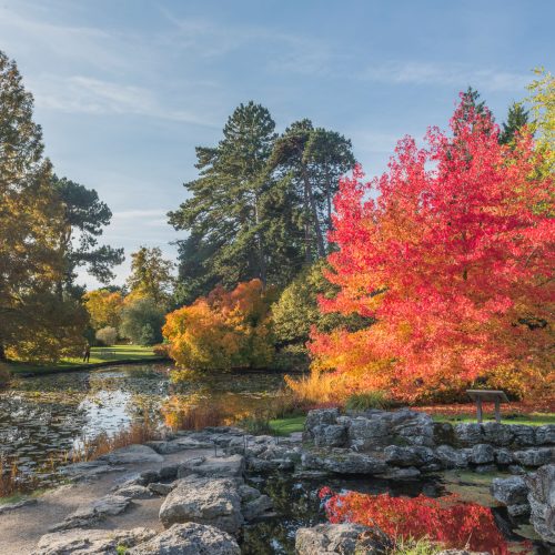 What’s on this Autumn 2022