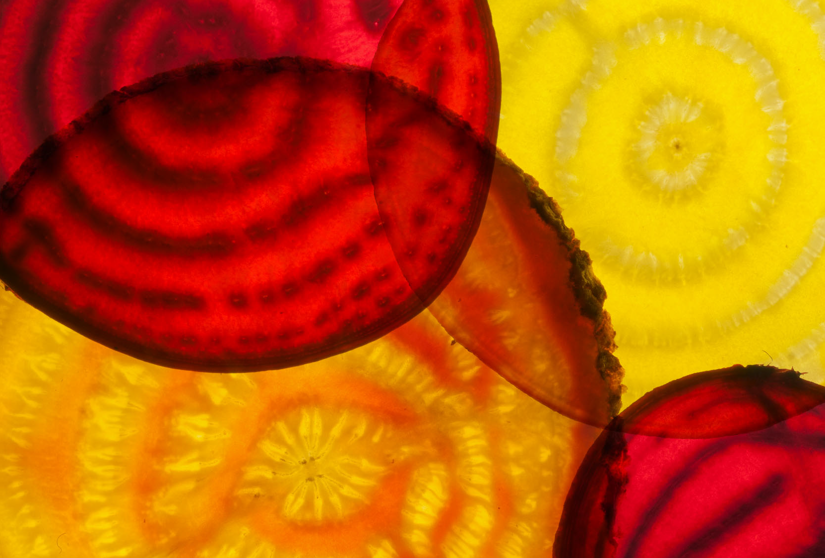 Slices of yellow, orange and red beetroots.