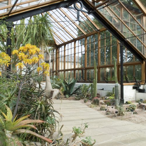 The Glasshouse Range