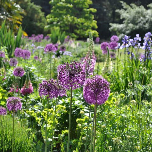Bee Borders