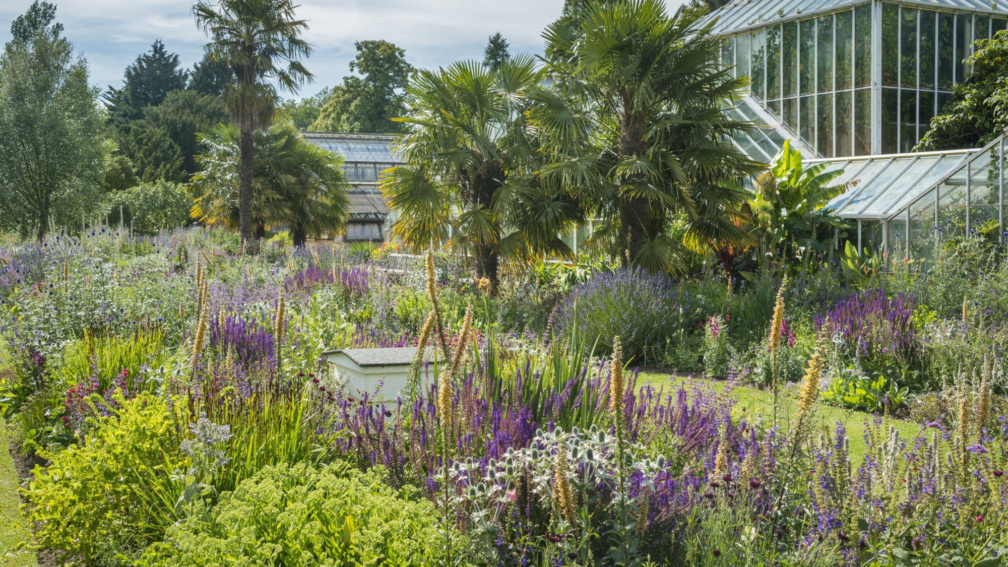 The Bee Borders 