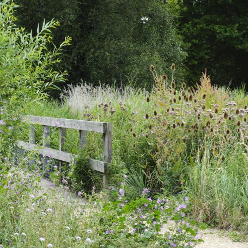 The Wildlife Trust BCN & CUBG Partnership