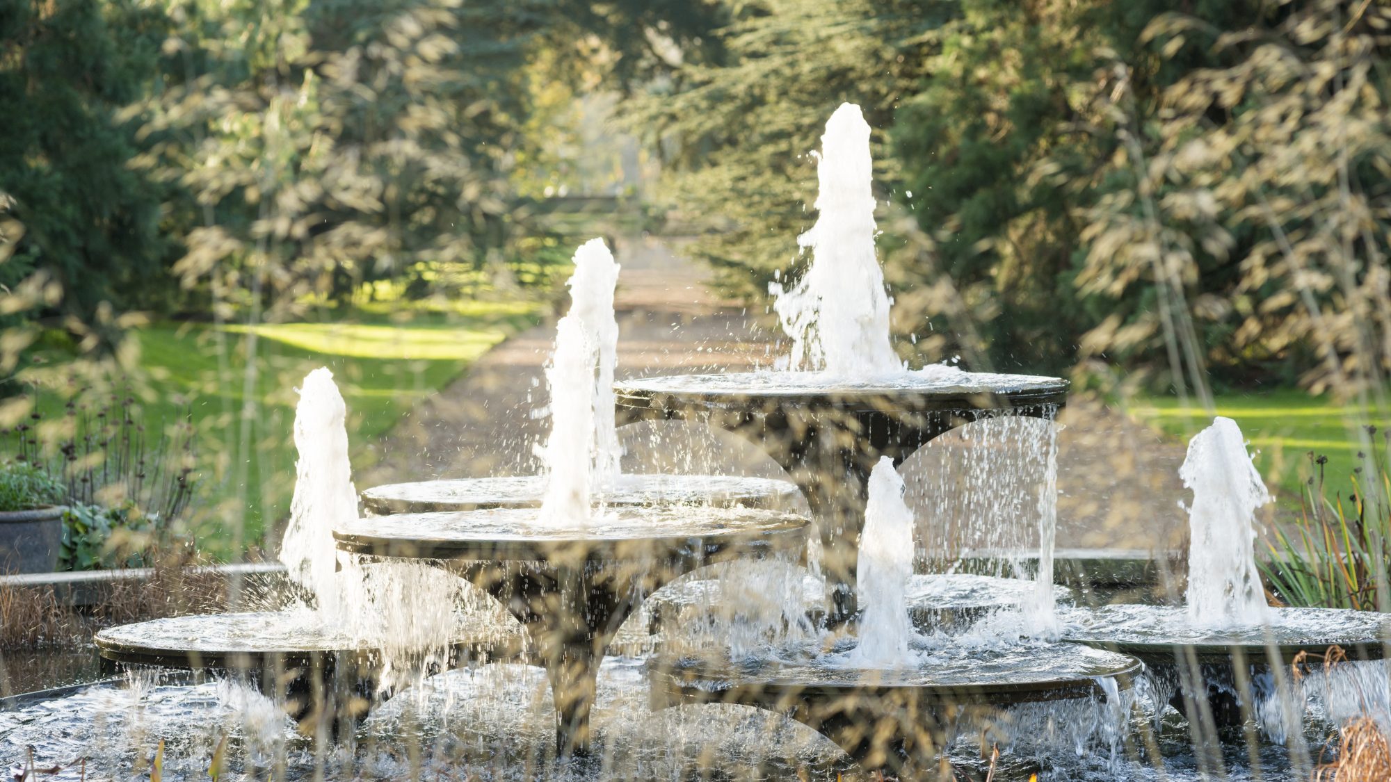 The Garden's fountain in front of the main walk.