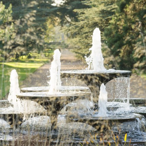 A Wellness Wander Archive: 2020