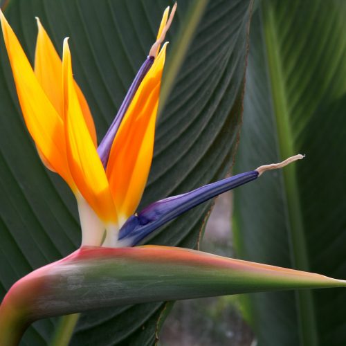 Wellness Wanders Archive: June 2020