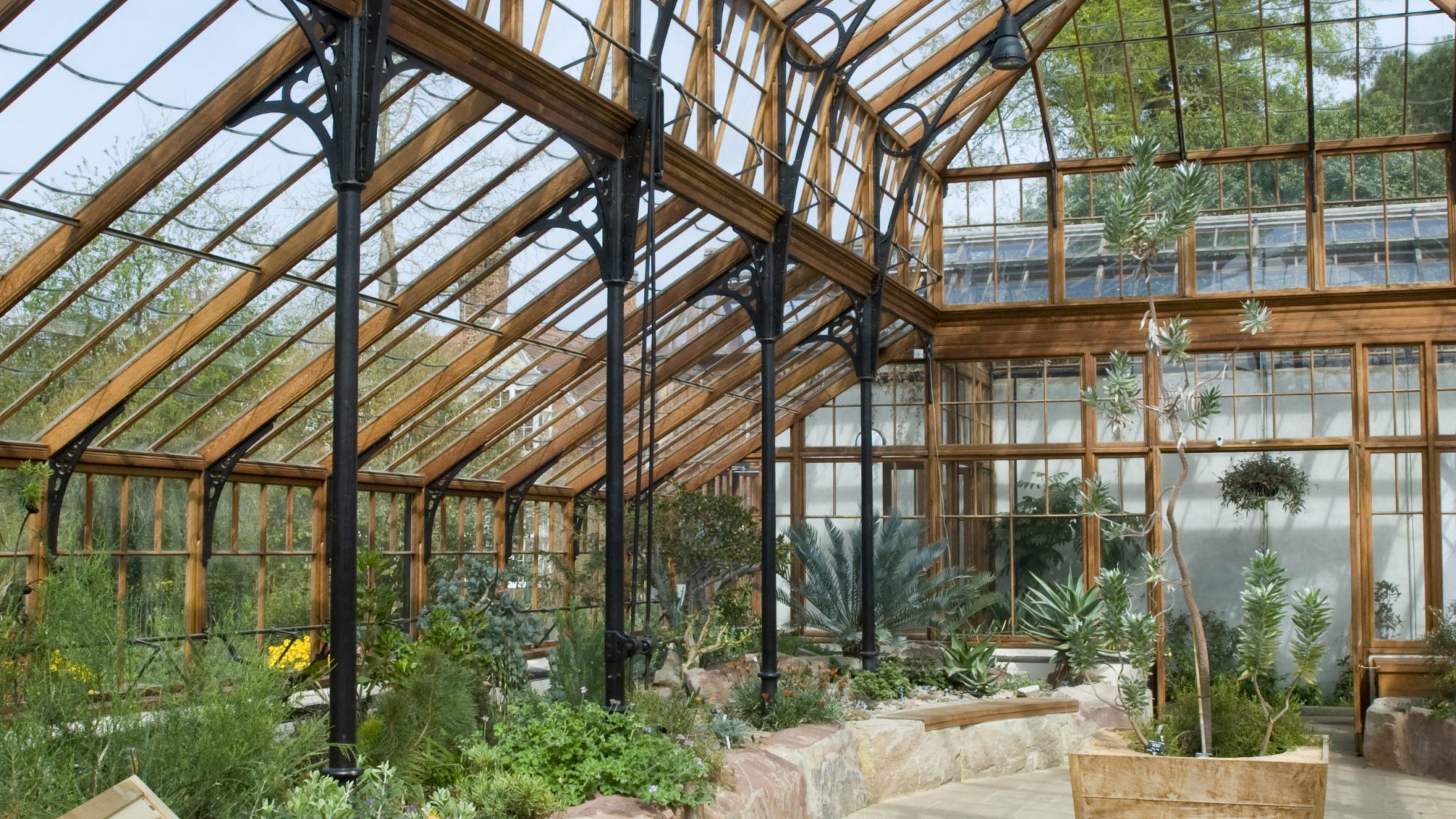 The inside of the Continents Apart Glasshouse with plants around the edge of a paved central floor.