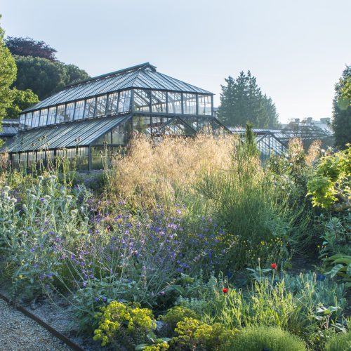 High temperature recordings and coping with hot weather at Cambridge University Botanic Garden
