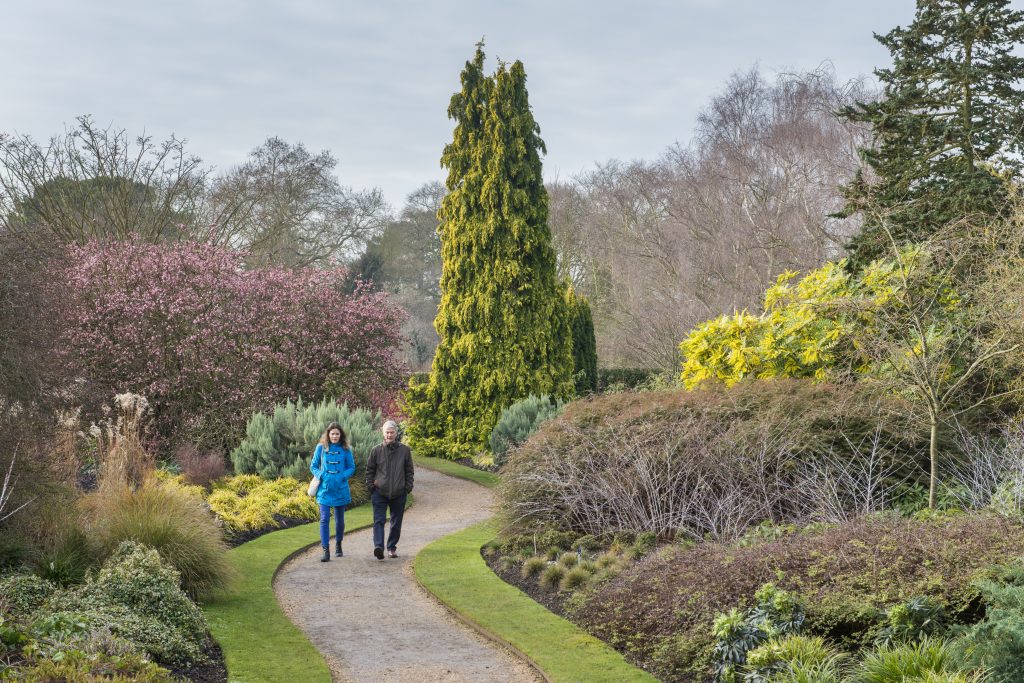 Two visitors wearing coats walking through a winding path with shrubbery and trees on either side.