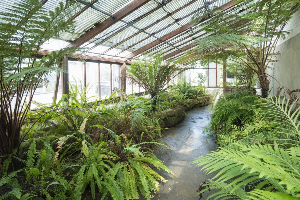 The Life Before Flowers Glasshouse. A smaller glasshouse with a walkway flanked by greenery on either side.