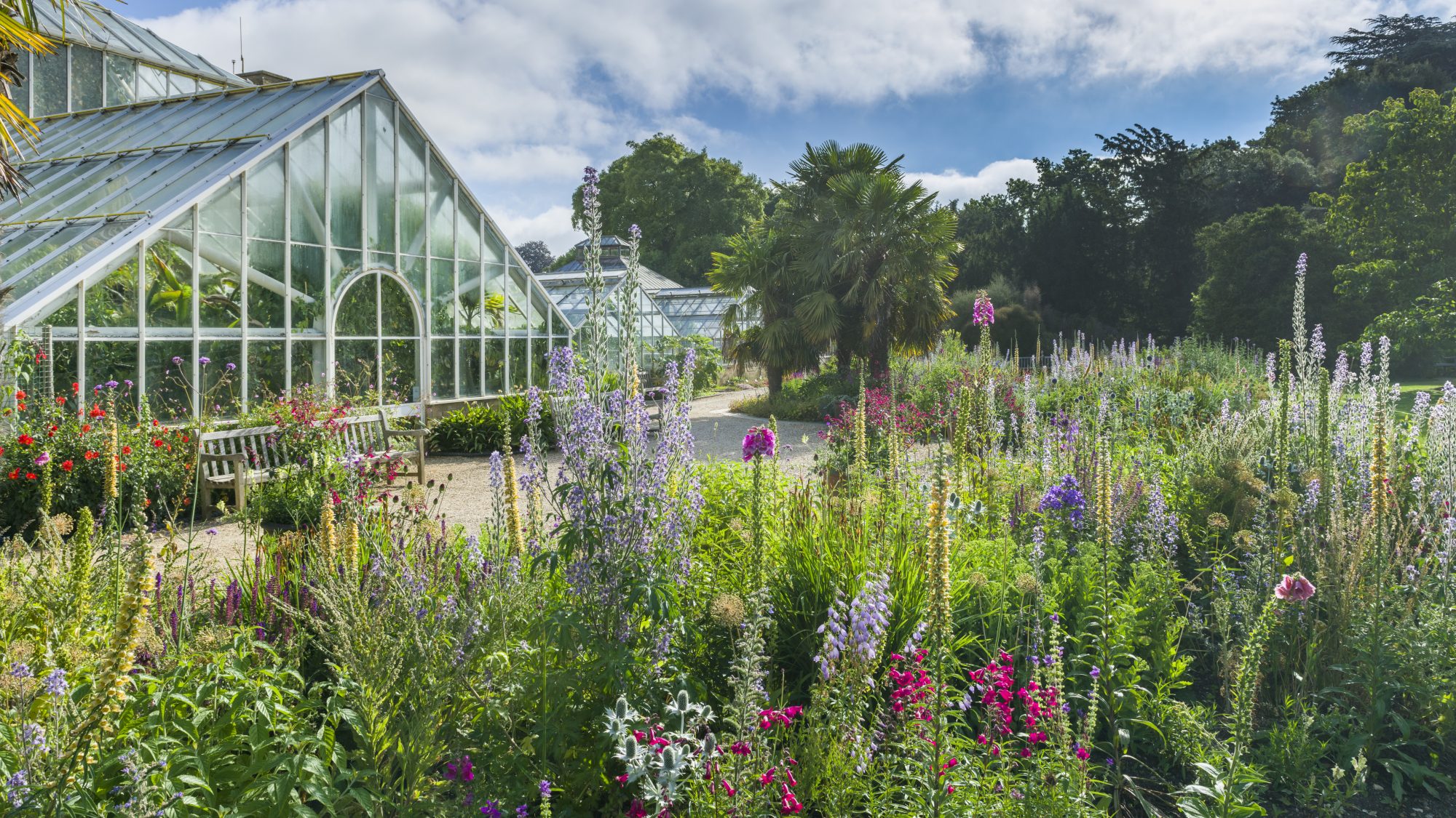 The Bee Borders in the hight of summer, overlooking the Glasshouse. 
