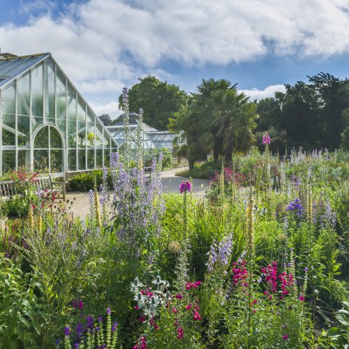 Bee Borders