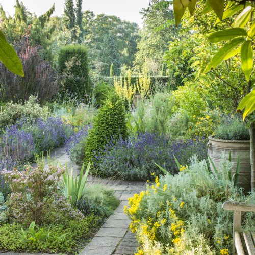 Dry Garden