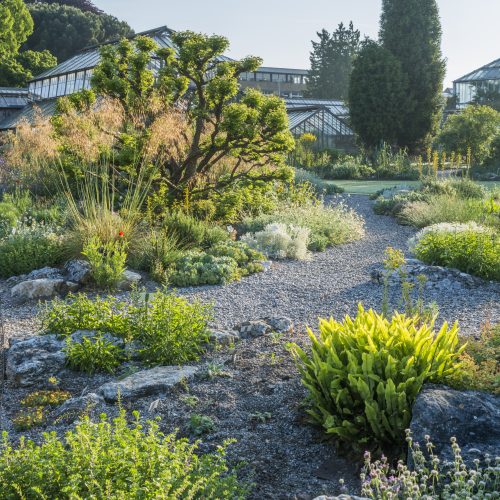 Mediterranean Beds