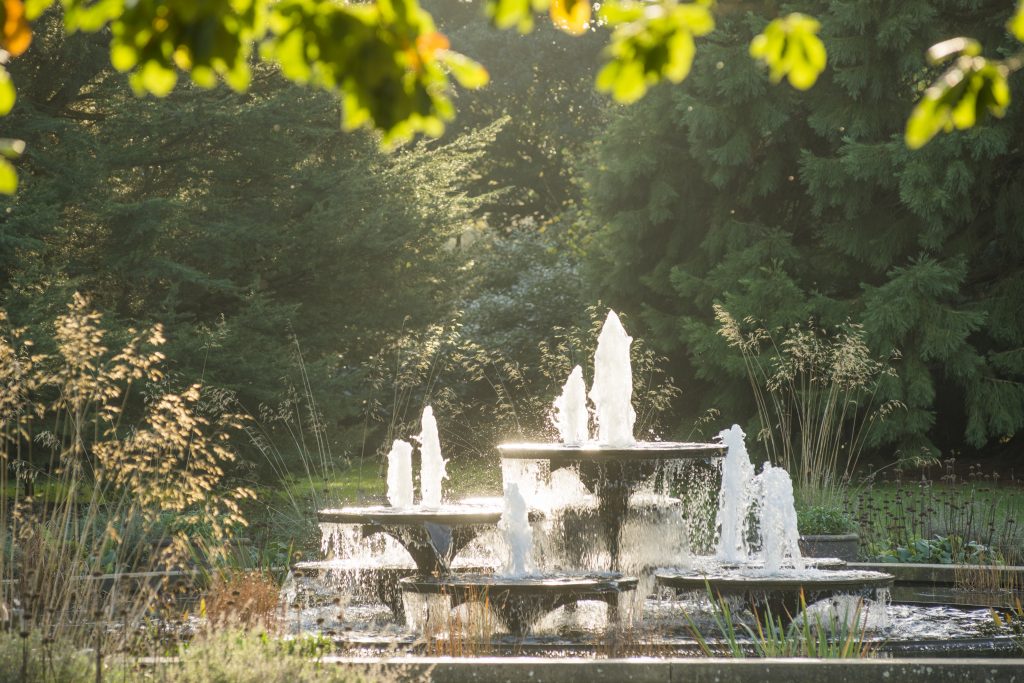 The iconic fountain in hazy Autumn lighting.