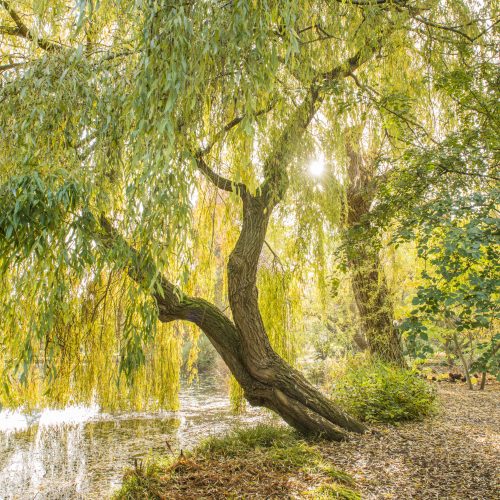 Take Two Mindful Minutes & Silent Spaces