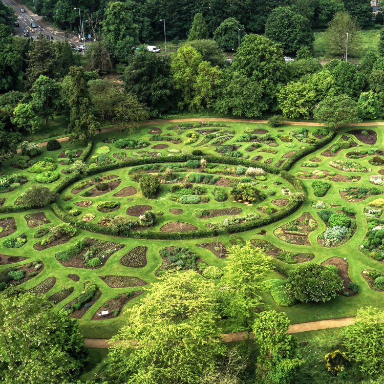 Plant families