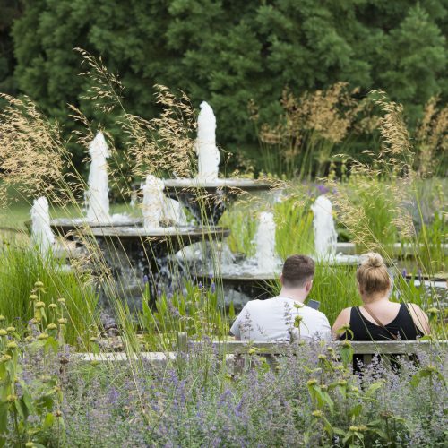 CUBG reopens and invites you to visit!