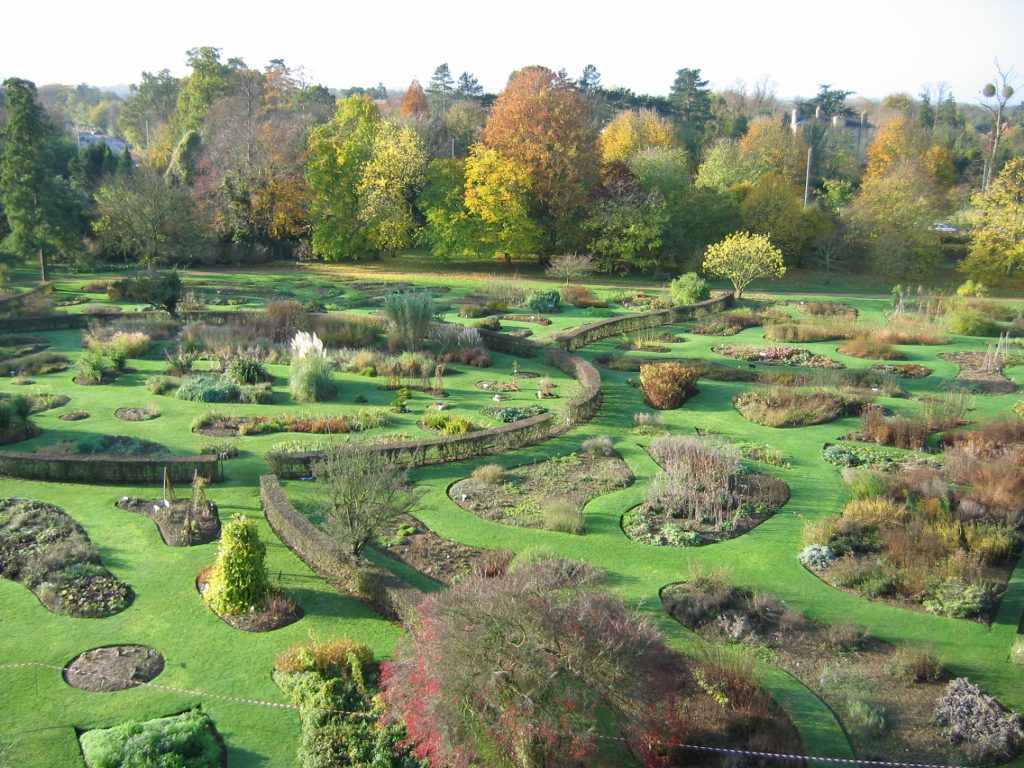 I lofty view of the Systematic Beds, which are irregular shapes on a green lawn.