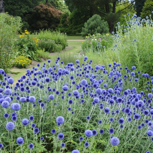 Wellness Wanders Archive: August 2020