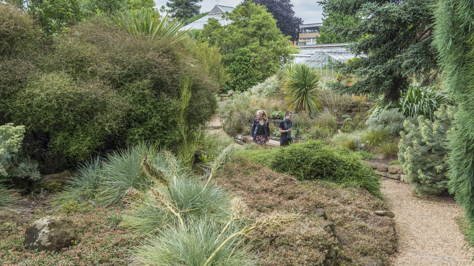 Visitors walking through the Terrace Garden (New Zealand Flora).