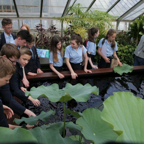 Key Stage 3 Workshops