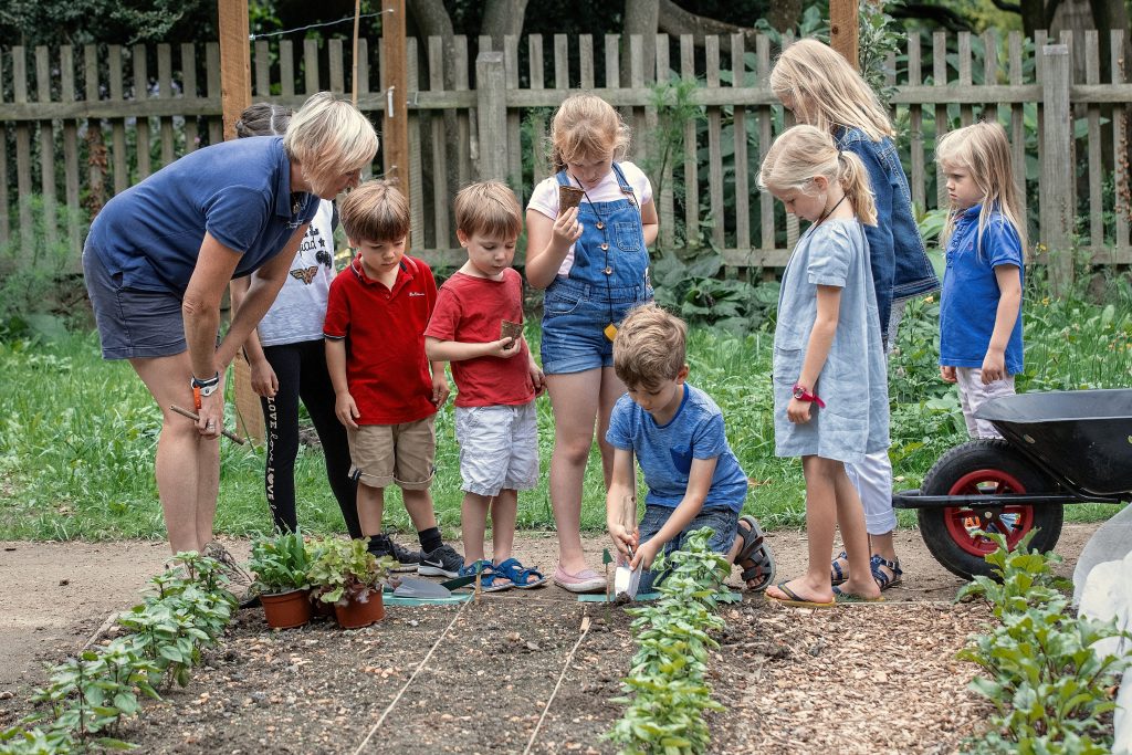 A group of children planting vegetables in the soil.
