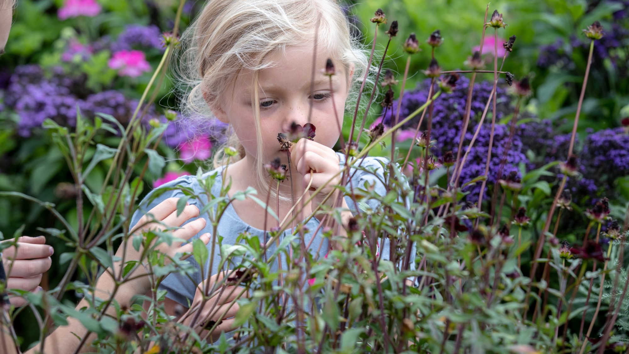 Young girl smelling a purple flower