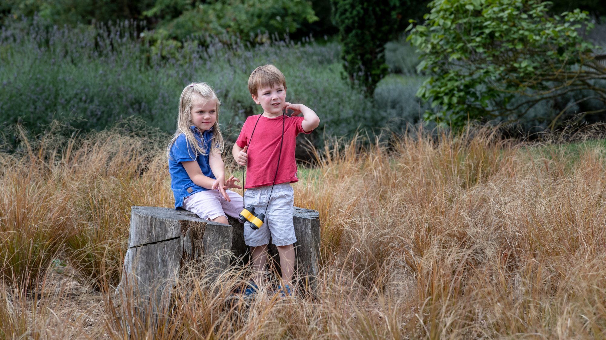Children playing in the Grass Maze. 