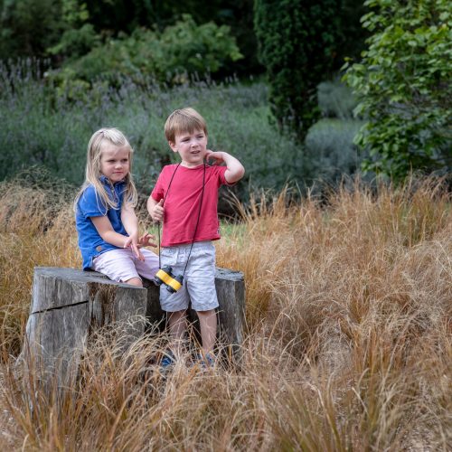 Grass Maze