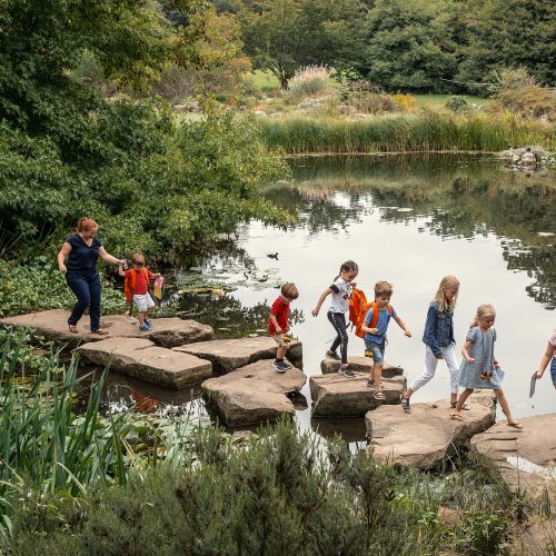 What’s on for families this summer at Cambridge University Botanic Garden