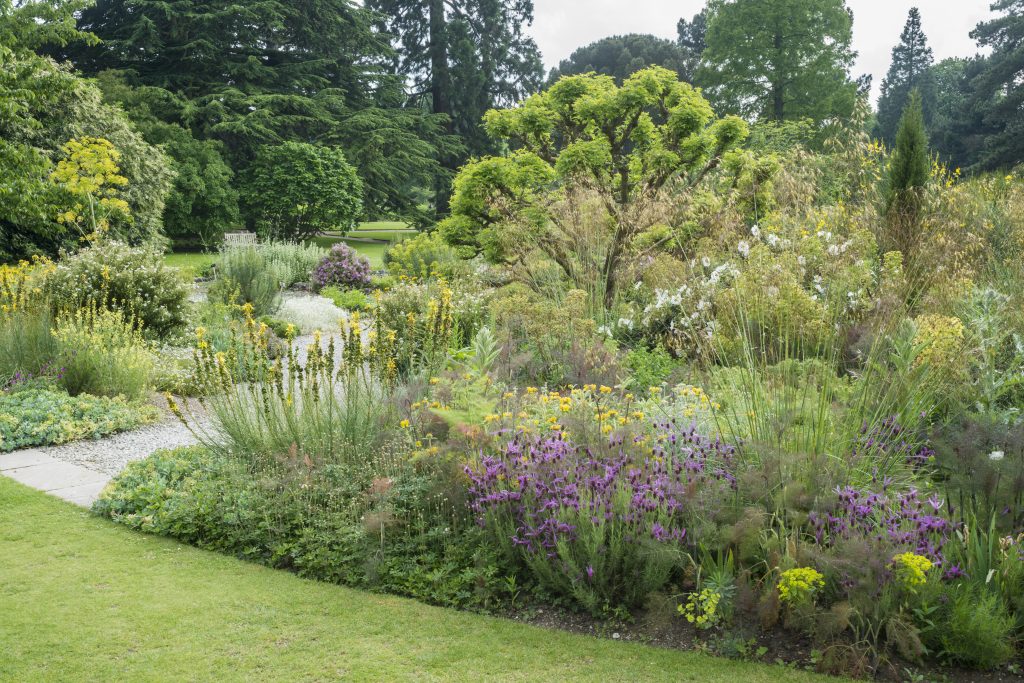The Mediterranean Beds in June, with purple flowers and green shrubs.