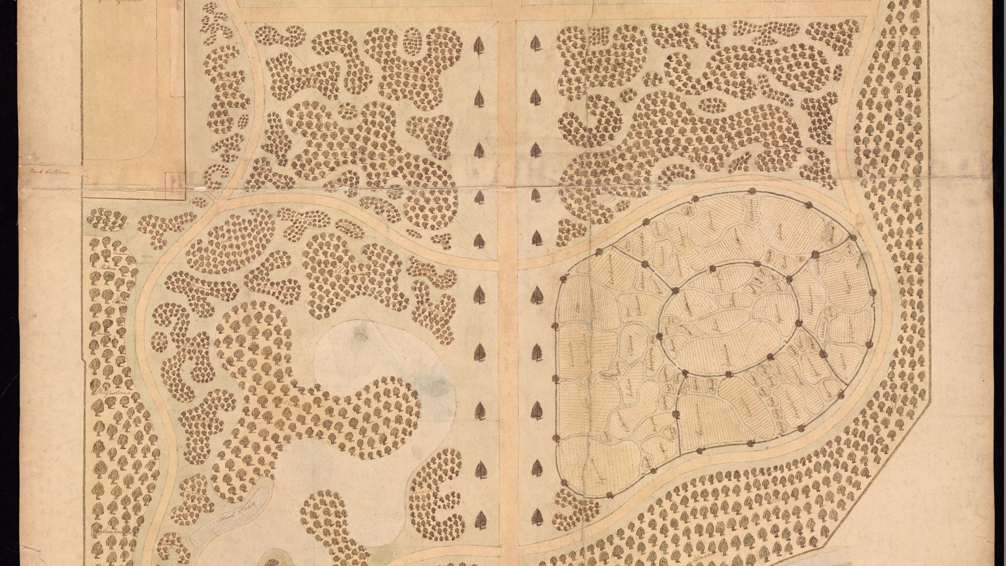 The original map of the Botanic Garden by Murray.