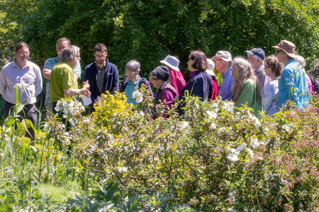 Tour of the garden.