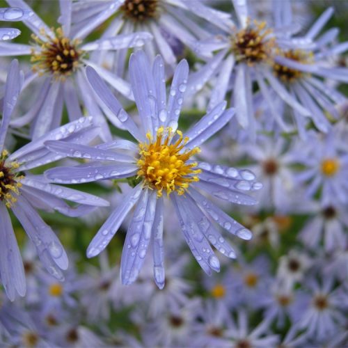 A Wellness Wander Archive: October 2020