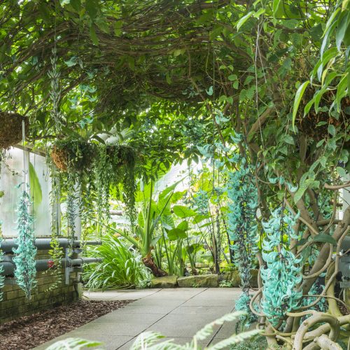 CUBG receives Botanic Gardens Conservation International (BGCI) Accreditation Award
