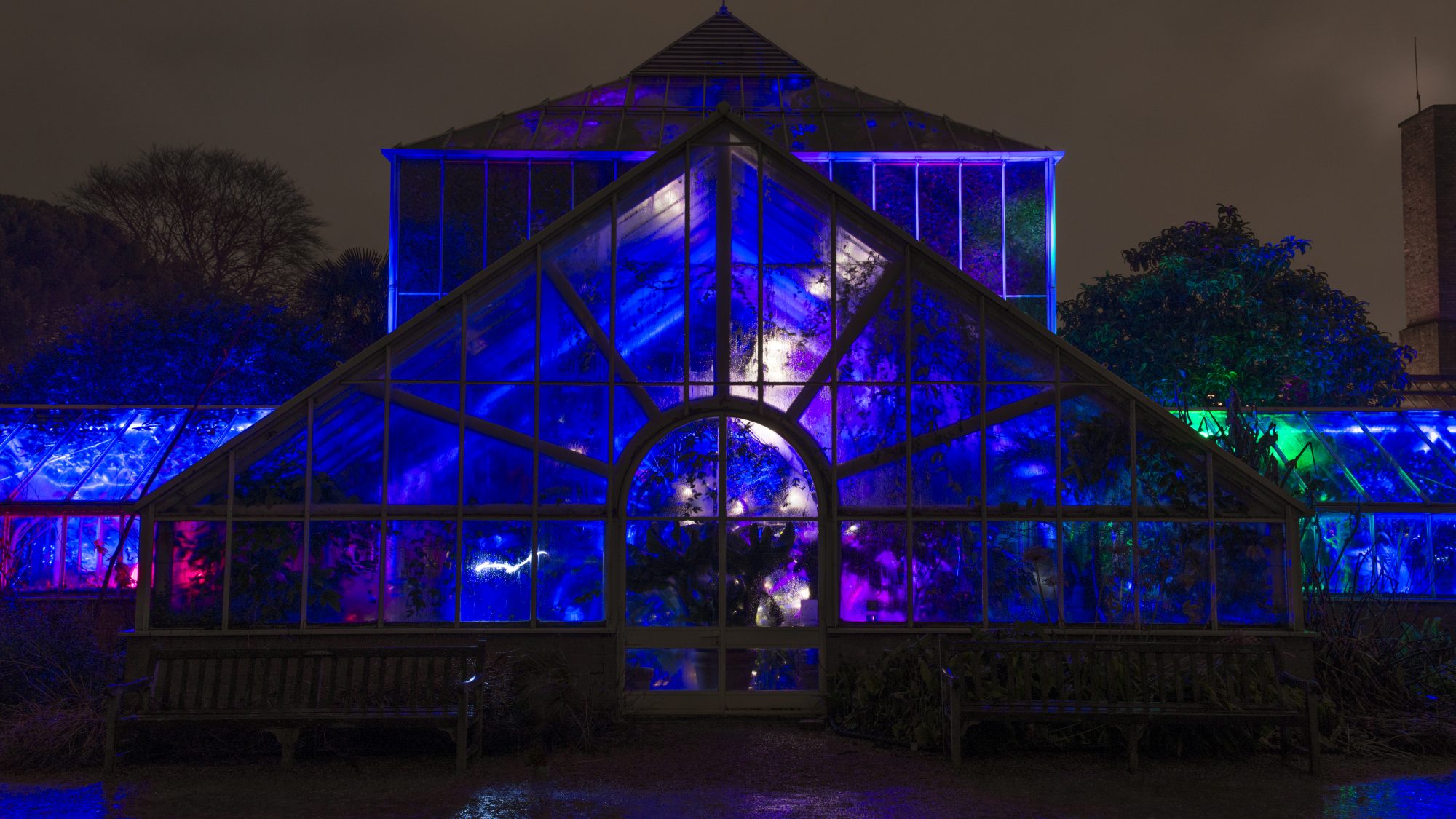 Image of Botanic Garden glasshouse lit up with blue lights.