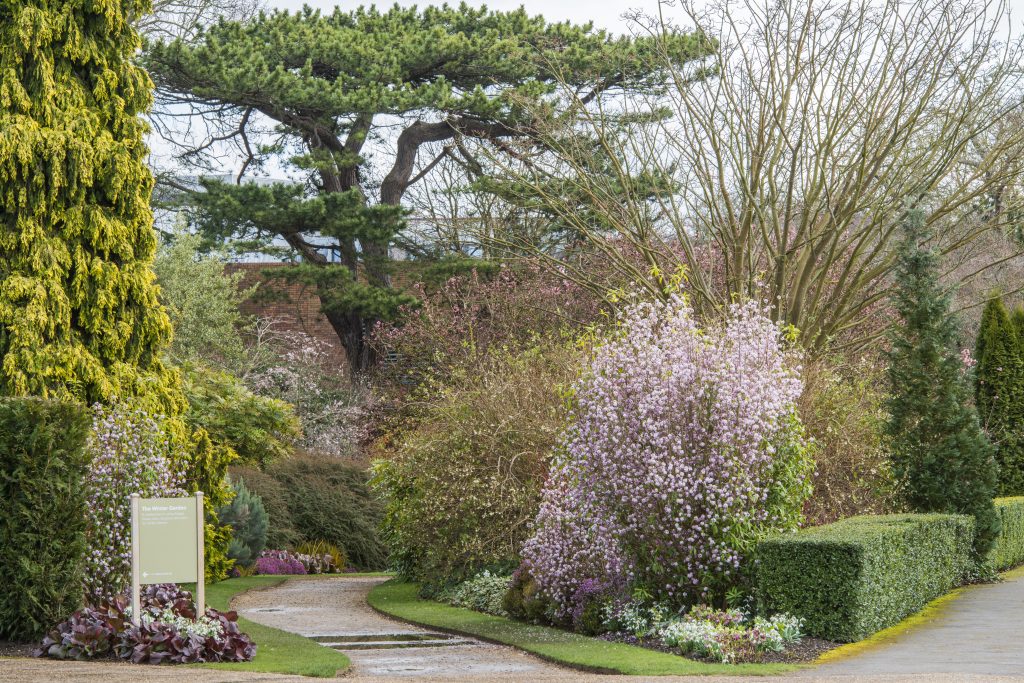 The entrance to a garden with a sign reading 'Winter Garden'. There is a path lined with green trees and pink cherry blossoms leading away.