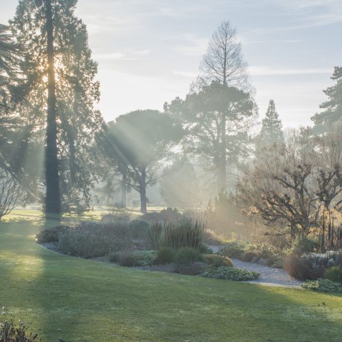 CUBG to feature in BBC 1 Easter Gardens series
