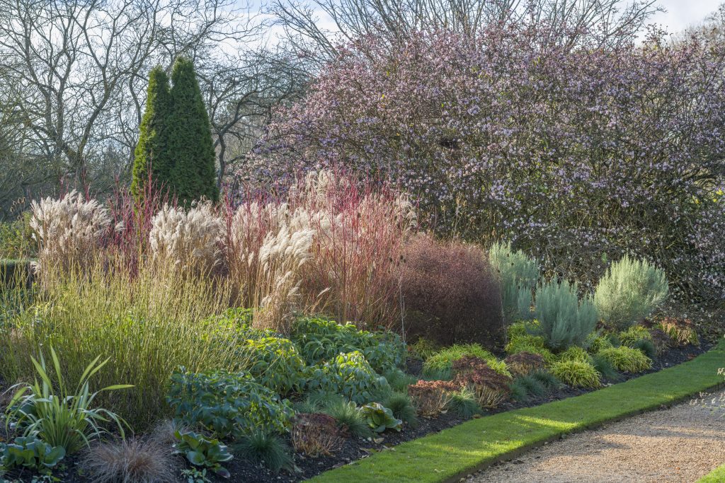 Next to a gravel path there are tall grasses, green shrubs and pink blossoms.
