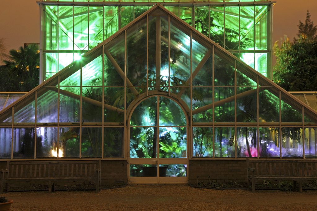 Twilight in the Glasshouse Range.