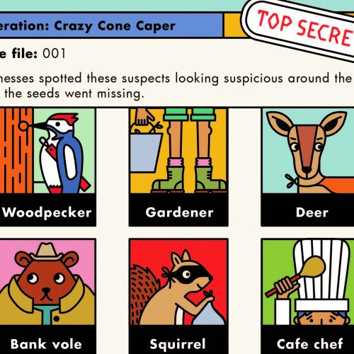 Crazy Cone Caper