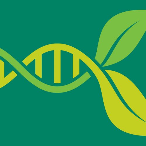 Science on Sundays - March 2020 - now online